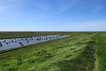 La baie au fil des saisons - Décembre